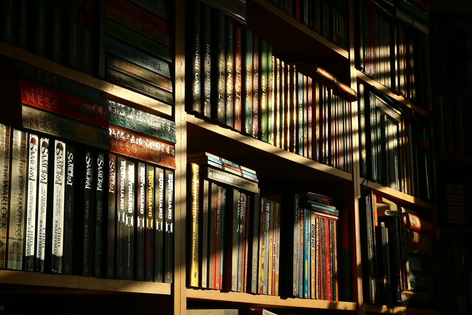 A Bookshelf Filled With Lots Of Books In A Room Jigsaw Puzzle Free Online Jigsaw Puzzle