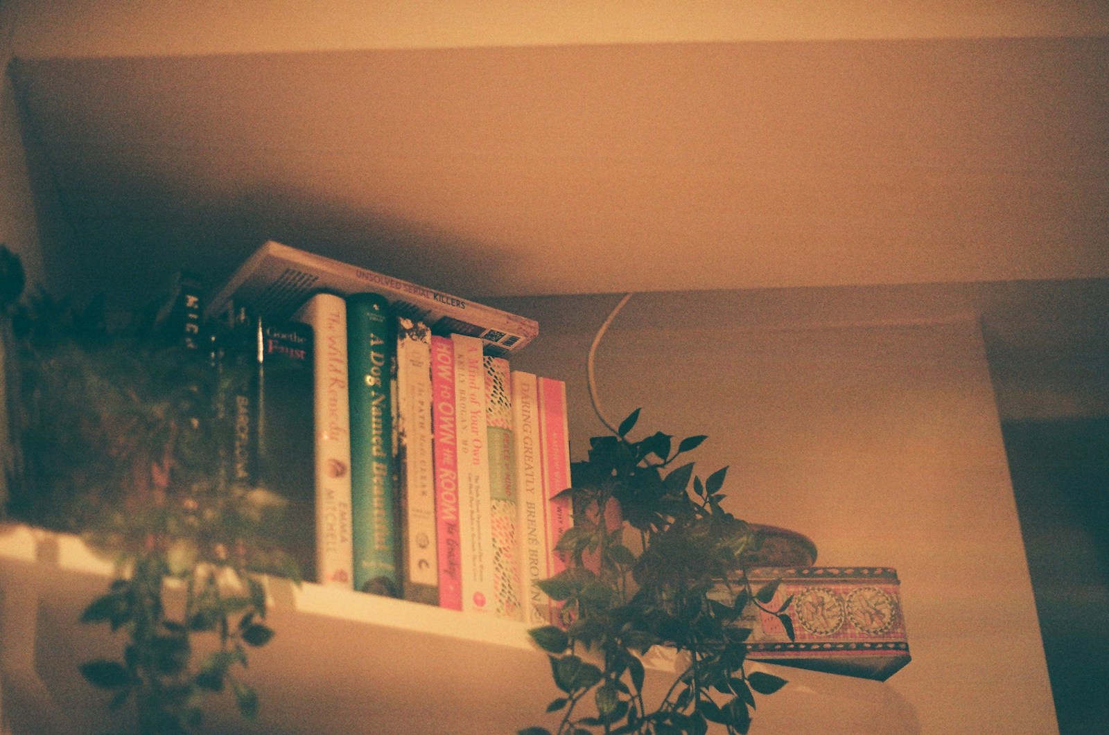 Books And Plants On A Shelf With Warm Lighting Jigsaw Puzzle Free Online Jigsaw Puzzle