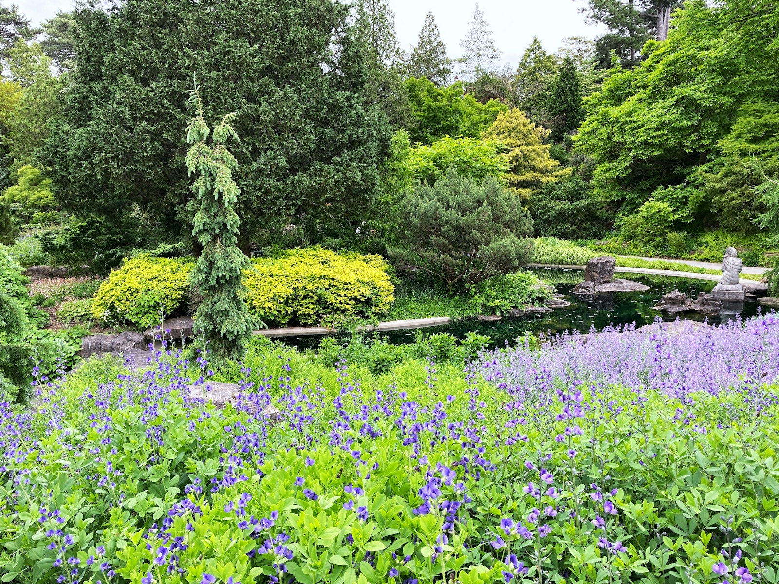A Garden Filled With Lots Of Purple Flowers Jigsaw Puzzle Free Online Jigsaw Puzzle