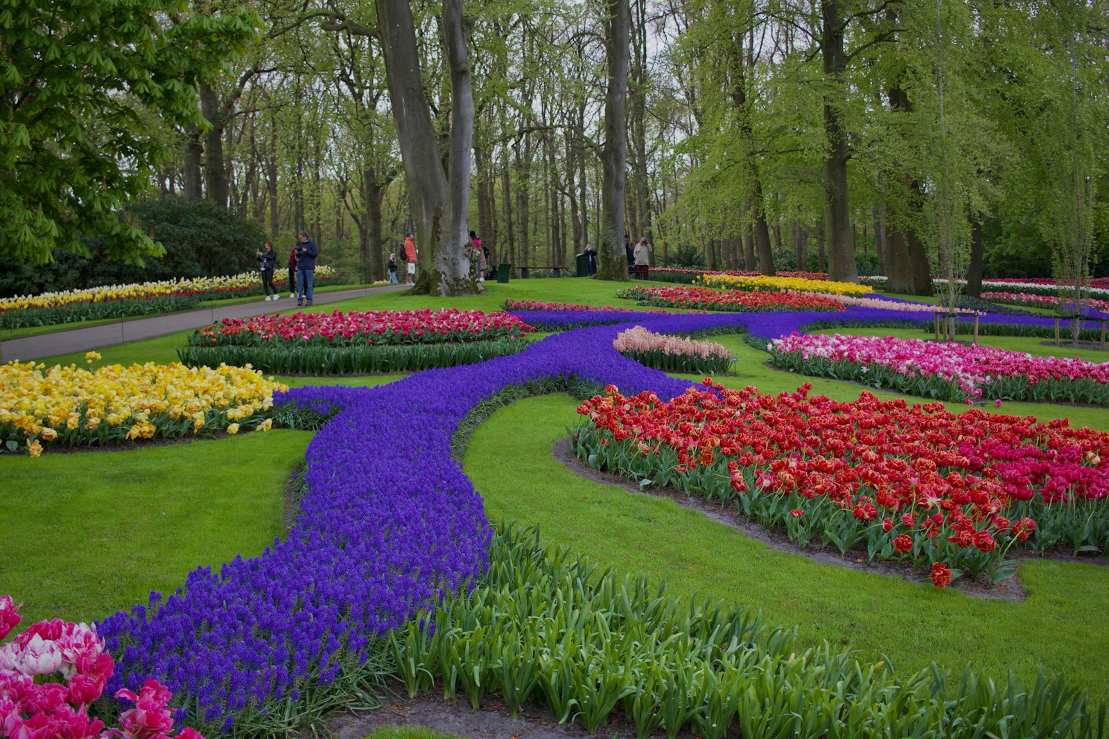A Vibrant Flower Garden With Colorful Tulips And P Jigsaw Puzzle Free Online Jigsaw Puzzle