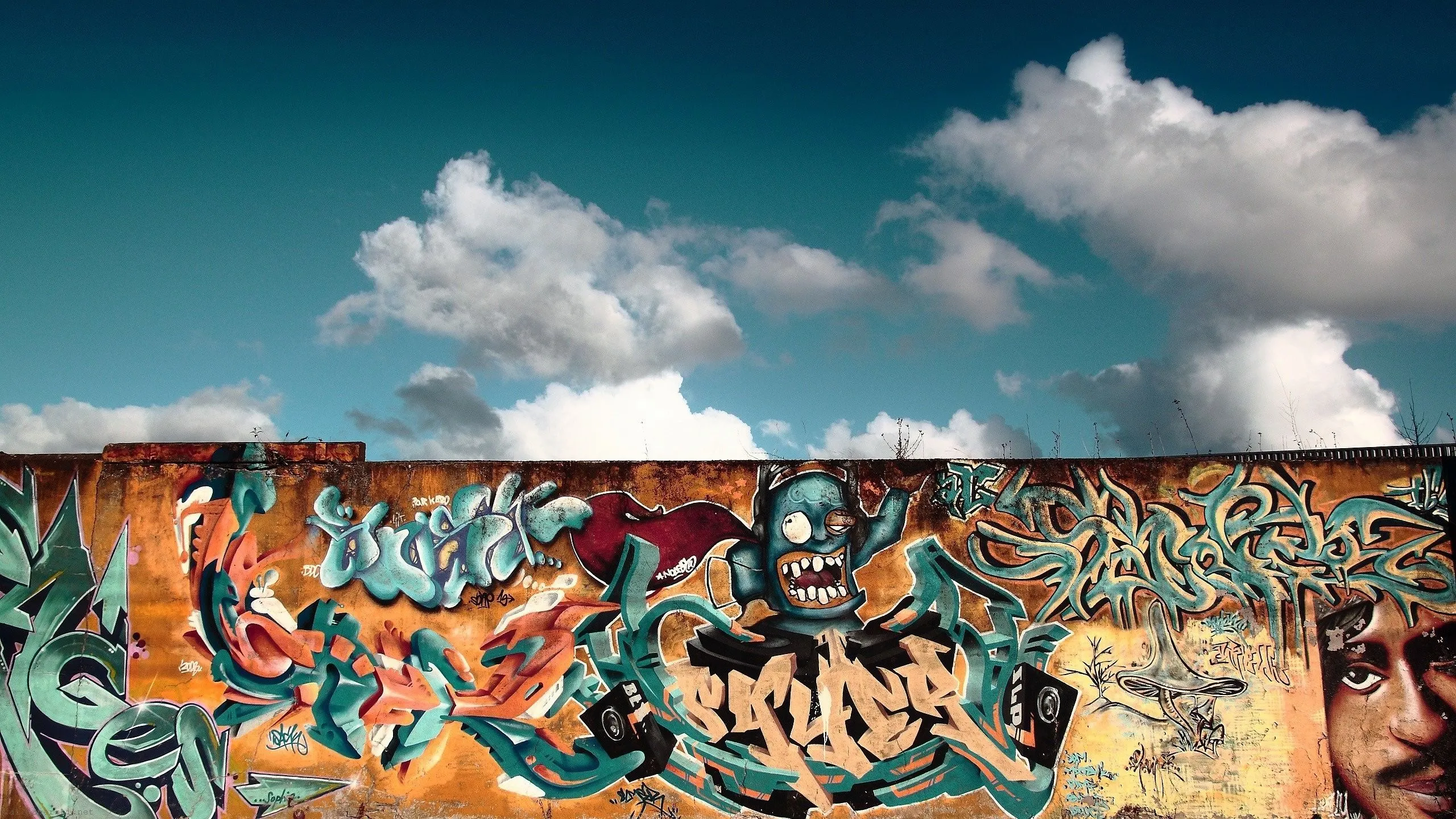 Graffiti Jigsaw Puzzle