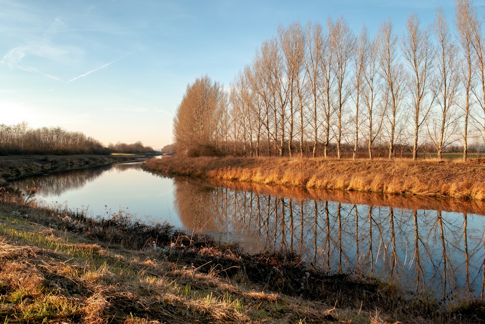 A Body Of Water With Trees Around It Jigsaw Puzzle Free Online Jigsaw Puzzle