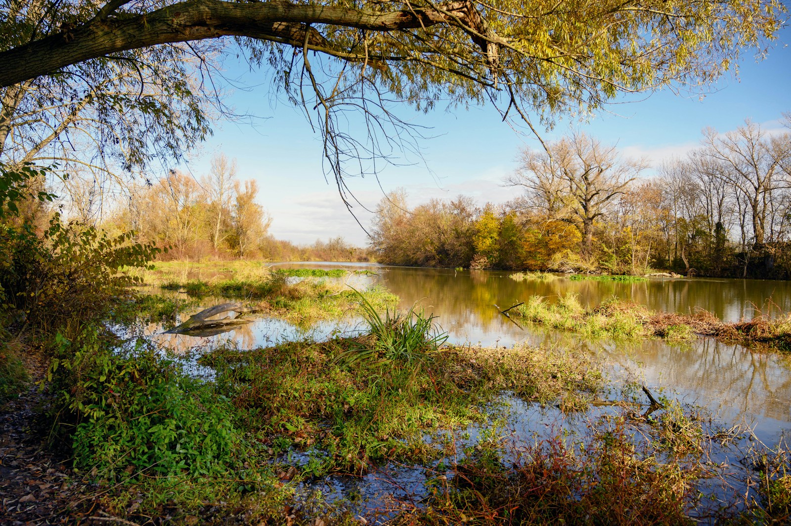 Nature Jigsaw Puzzles Jigsaw Puzzle
