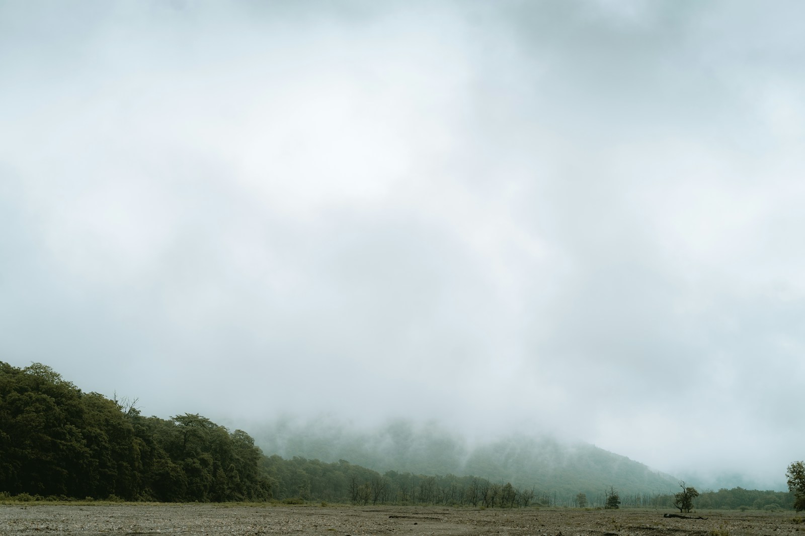 A Landscape With Trees And A Cloudy Sky Jigsaw Puzzle Free Online Jigsaw Puzzle