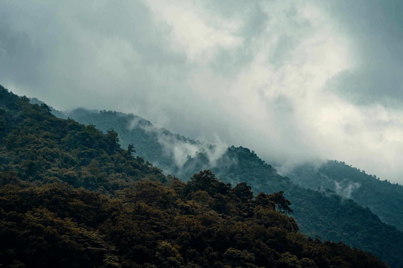 A Landscape With Trees And Clouds Jigsaw Puzzle Free Online Jigsaw Puzzle