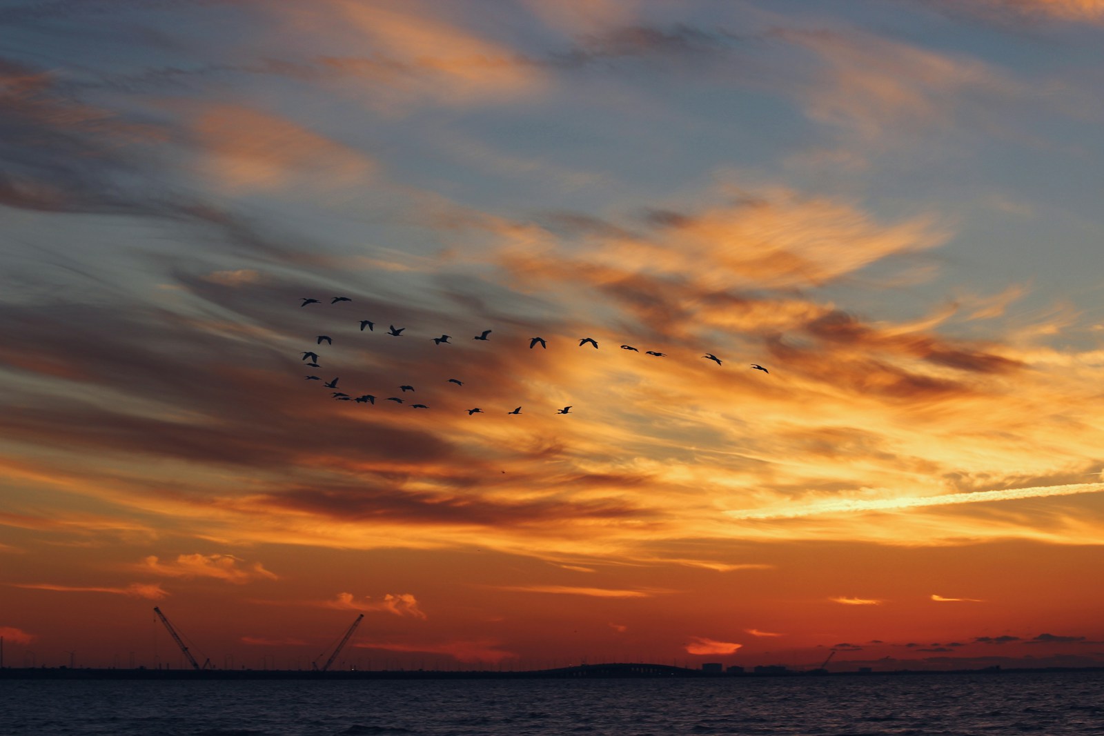 Birds Flying Over The Sea During Sunset Jigsaw Puzzle Free Online Jigsaw Puzzle