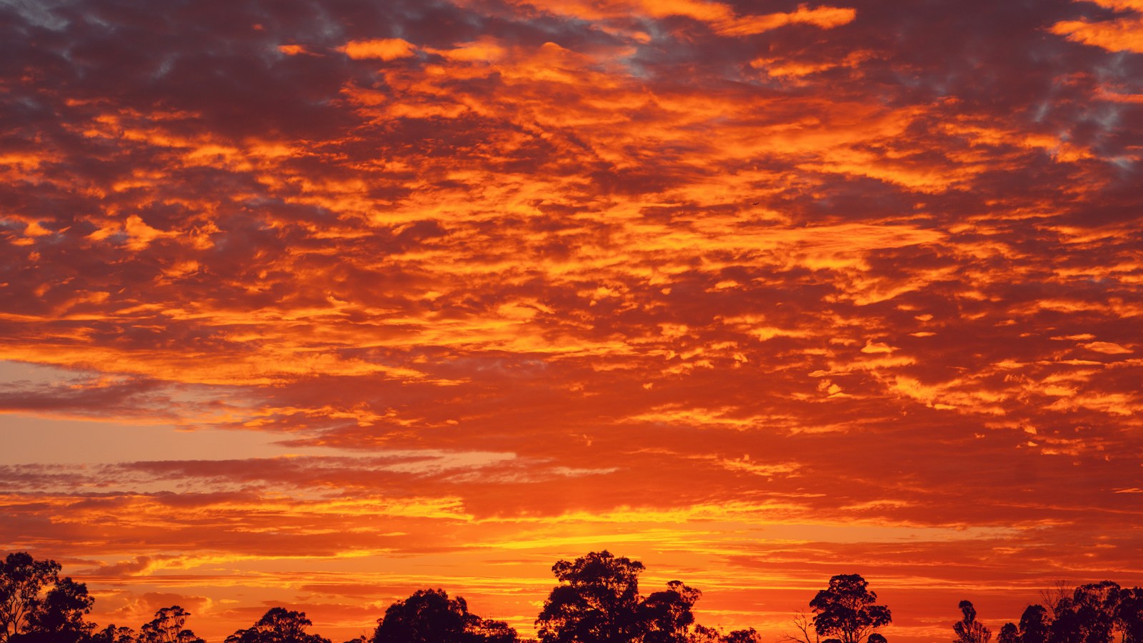 Orange Sky At Sunset Jigsaw Puzzle Free Online Jigsaw Puzzle