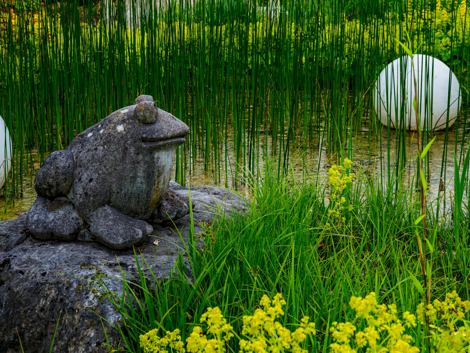 Stone Frog Statue By A Pond With Reeds And Flowers Jigsaw Puzzle Free Online Jigsaw Puzzle